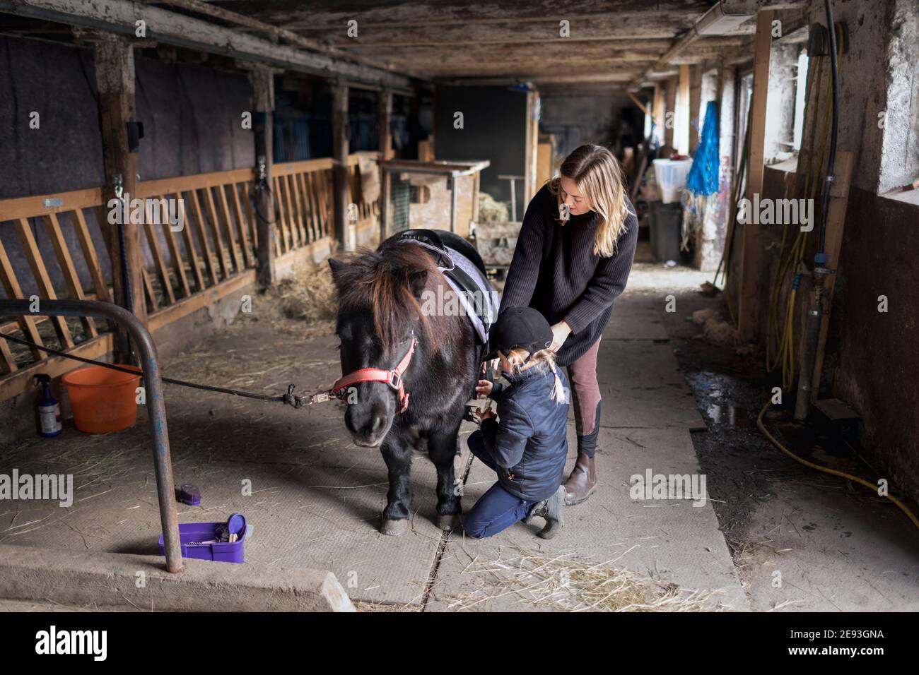Mère avec fille préparant le poney pour le tour Banque D'Images