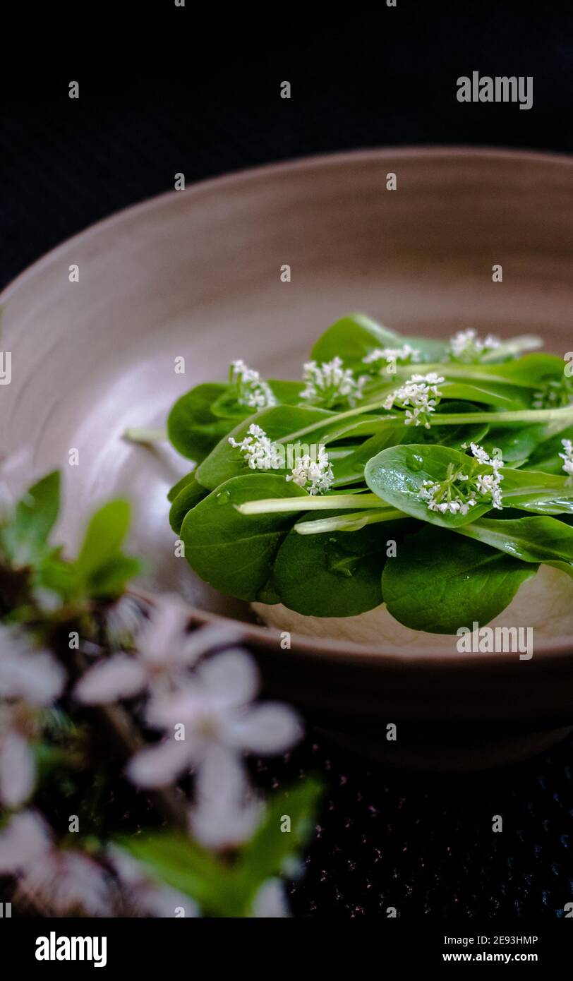 Plat de fromage cottage et légumes verts avec fleurs faites dans un restaurant Banque D'Images
