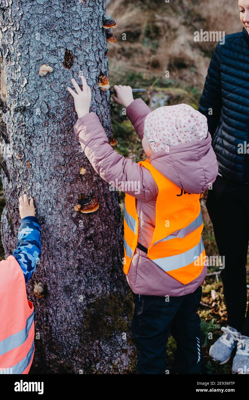 Fille regardant les champignons de support sur le tronc d'arbre Banque D'Images