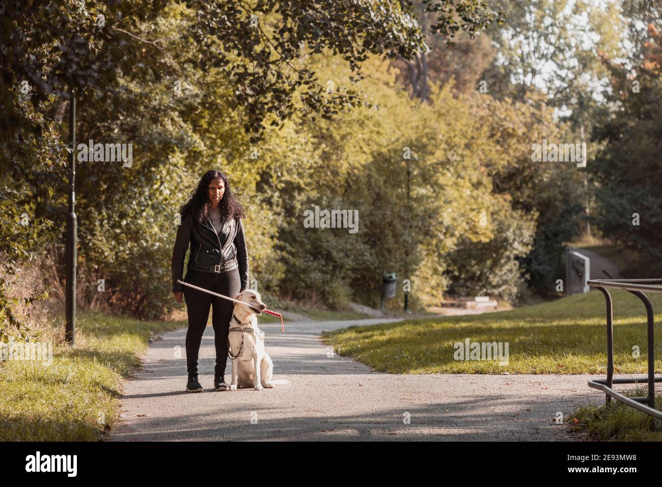 Femme malvoyante debout au parc avec un chien-guide Banque D'Images