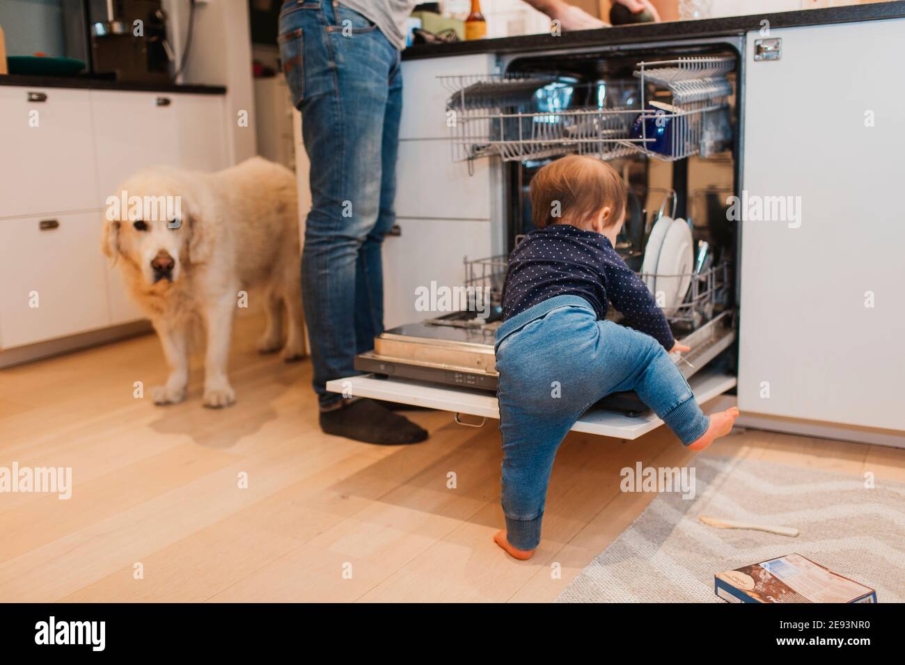 Tout-petit passant au lave-vaisselle Banque D'Images