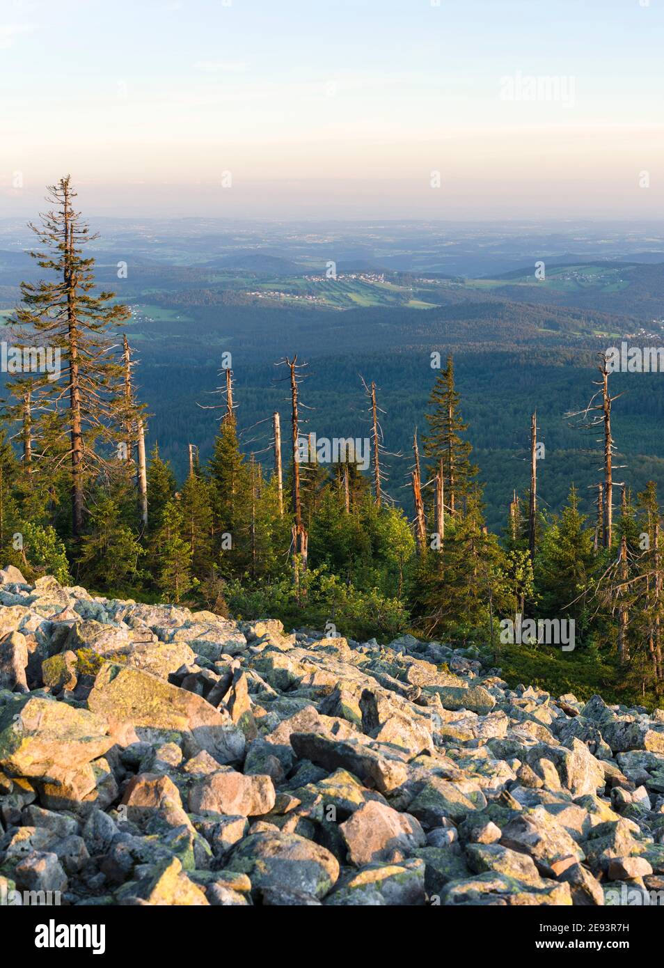 Vue depuis le sommet de Mt. Lusen dans le parc national de la forêt bavaroise (NP Bayerischer Wald). Europe, Allemagne, Bavière Banque D'Images