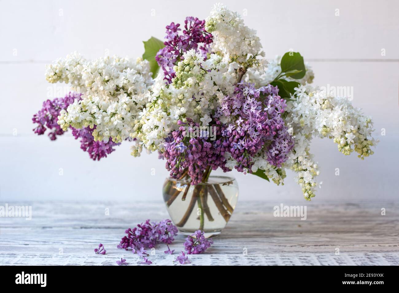 Lilas blanc et lilas violet dans un vase en verre sur une table en bois.  Branches printanières de lilas fleurs bouquet festif de fleurs Photo Stock  - Alamy