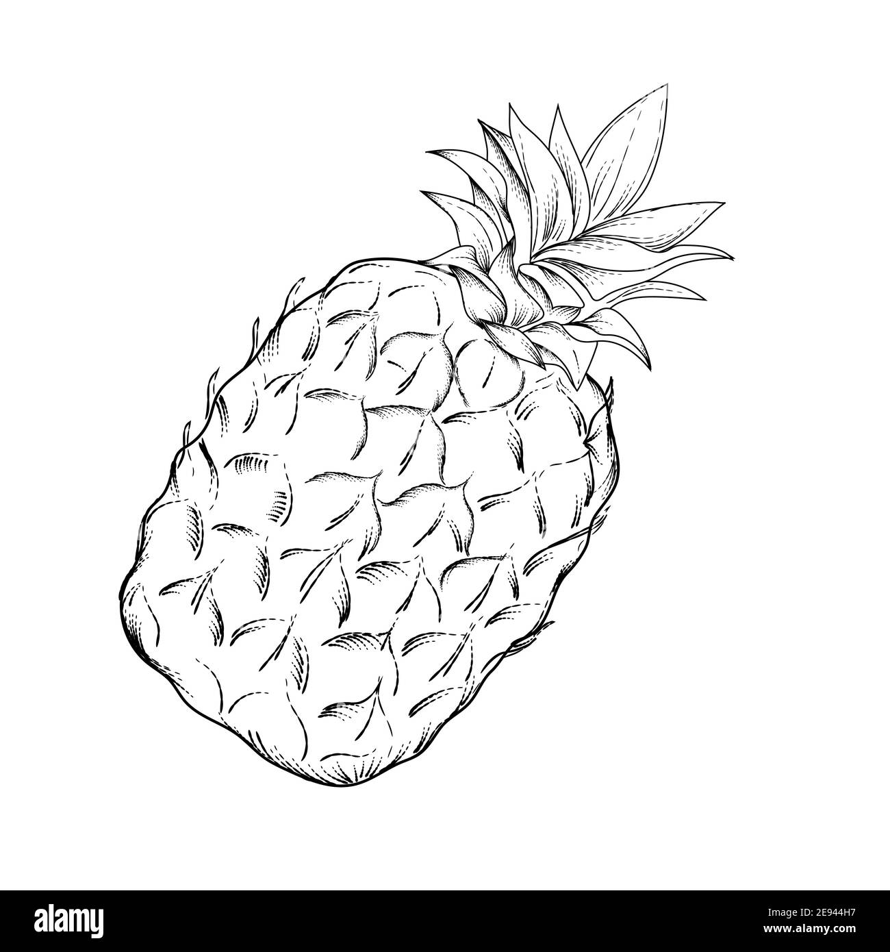 Image de fruit d'ananas. Illustration vectorielle noir et blanc. Illustration de Vecteur