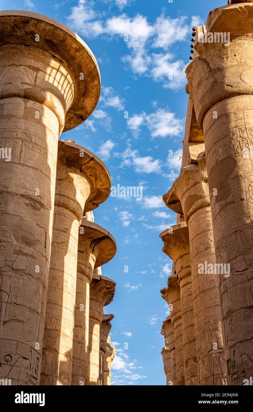 Piliers au temple de Karnak, Louxor, Égypte, Afrique Banque D'Images
