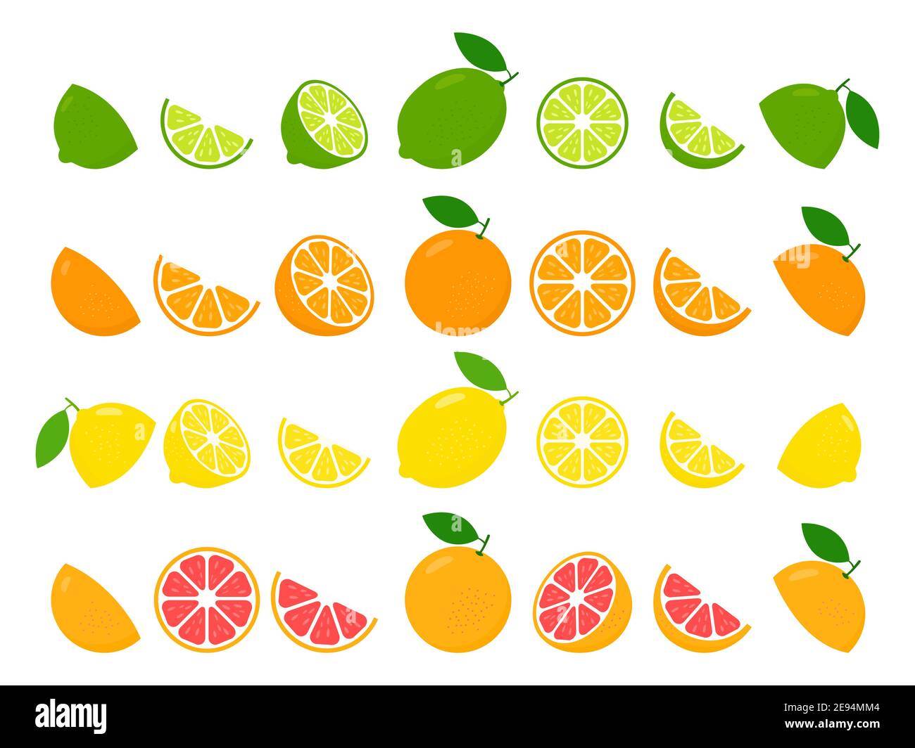 Agrumes frais entiers et demi de citron vert, citron, pamplemousse et orange. Illustration vectorielle de grande collection de fruits isolée sur blanc Illustration de Vecteur