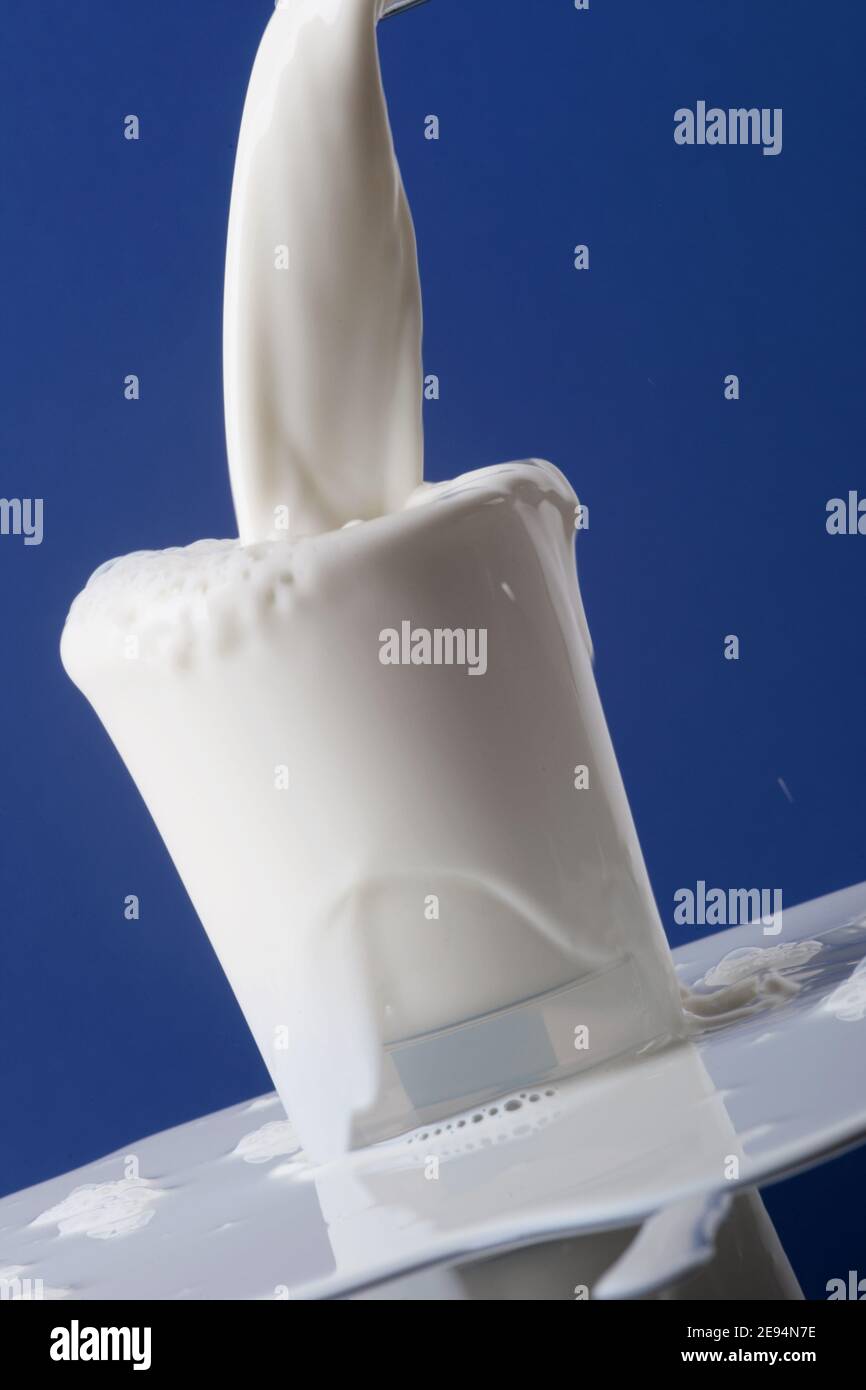 Le lait crémeux est versé rapidement dans un verre jusqu'au bord et déborde sur la table. Photo sur fond bleu Banque D'Images
