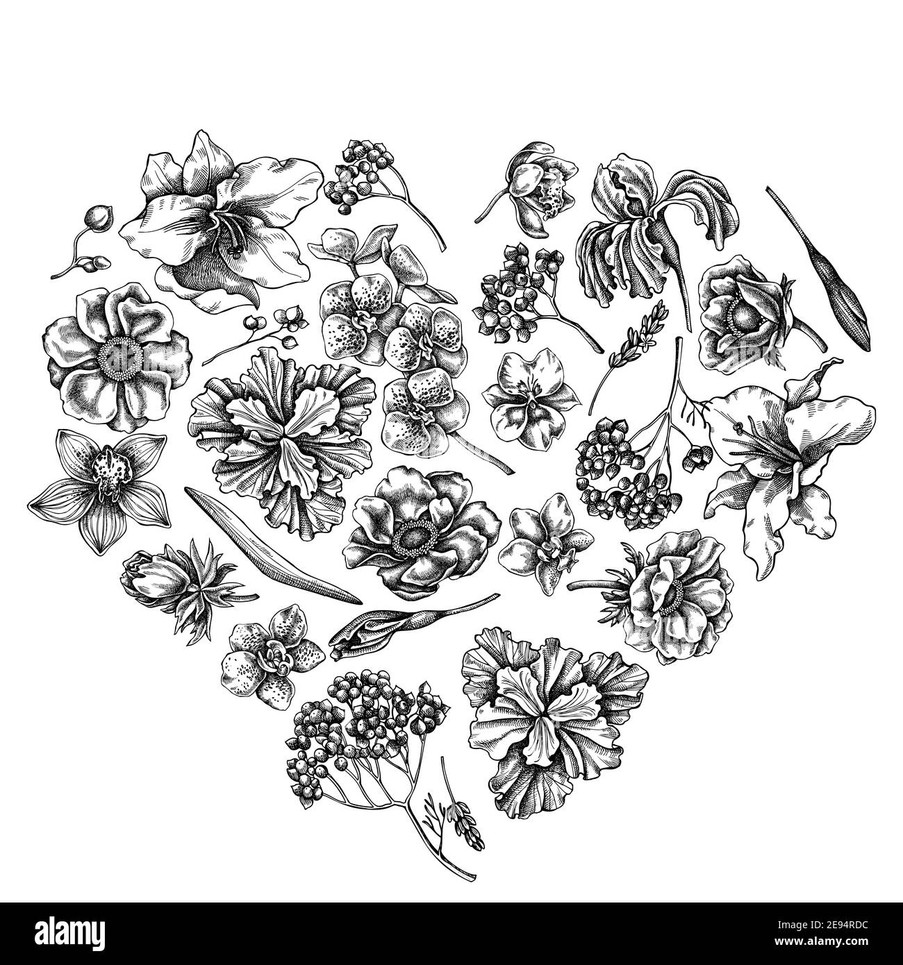 Motif coeur fleuri avec anémone noir et blanc, lavande, romarin éternel,  phalaenopsis, lis, iris Image Vectorielle Stock - Alamy