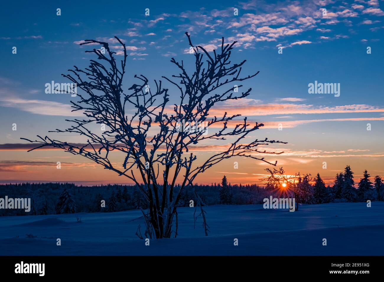 Paysage d'hiver avec arbres, verglas et neige au coucher du soleil dans les montagnes d'Ore. Banque D'Images