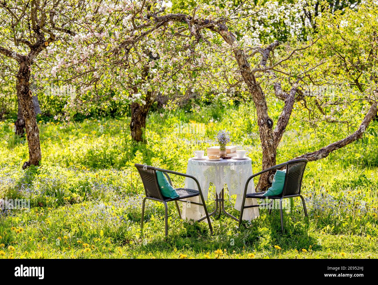Printemps dans le concept de jardin de pomme en fleurs à la maison. Table avec tasses à thé, boho réutiliser vase pot avec Forget me Not flowers ( Myosotis). Pile de livres. Banque D'Images