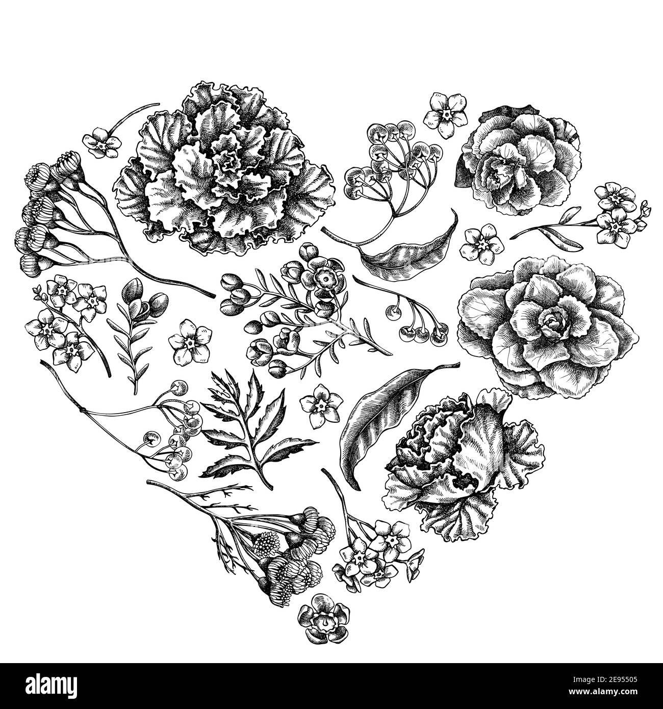 Coeur floral avec fleur de cire noire et blanche, oubliez-moi pas fleur, tansy, ardisia, brassica, chou décoratif Illustration de Vecteur