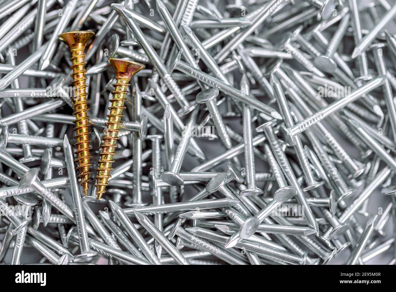 Deux vis en or dans la pile de clous de construction nickelés, se démarquer dans la foule conceptuel.croissance d'affaires et d'affaires, individualité et indépendance Banque D'Images