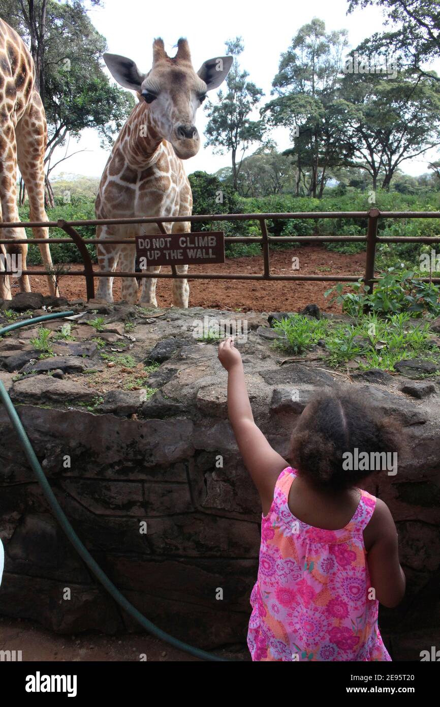Petite fille et girafe Banque D'Images