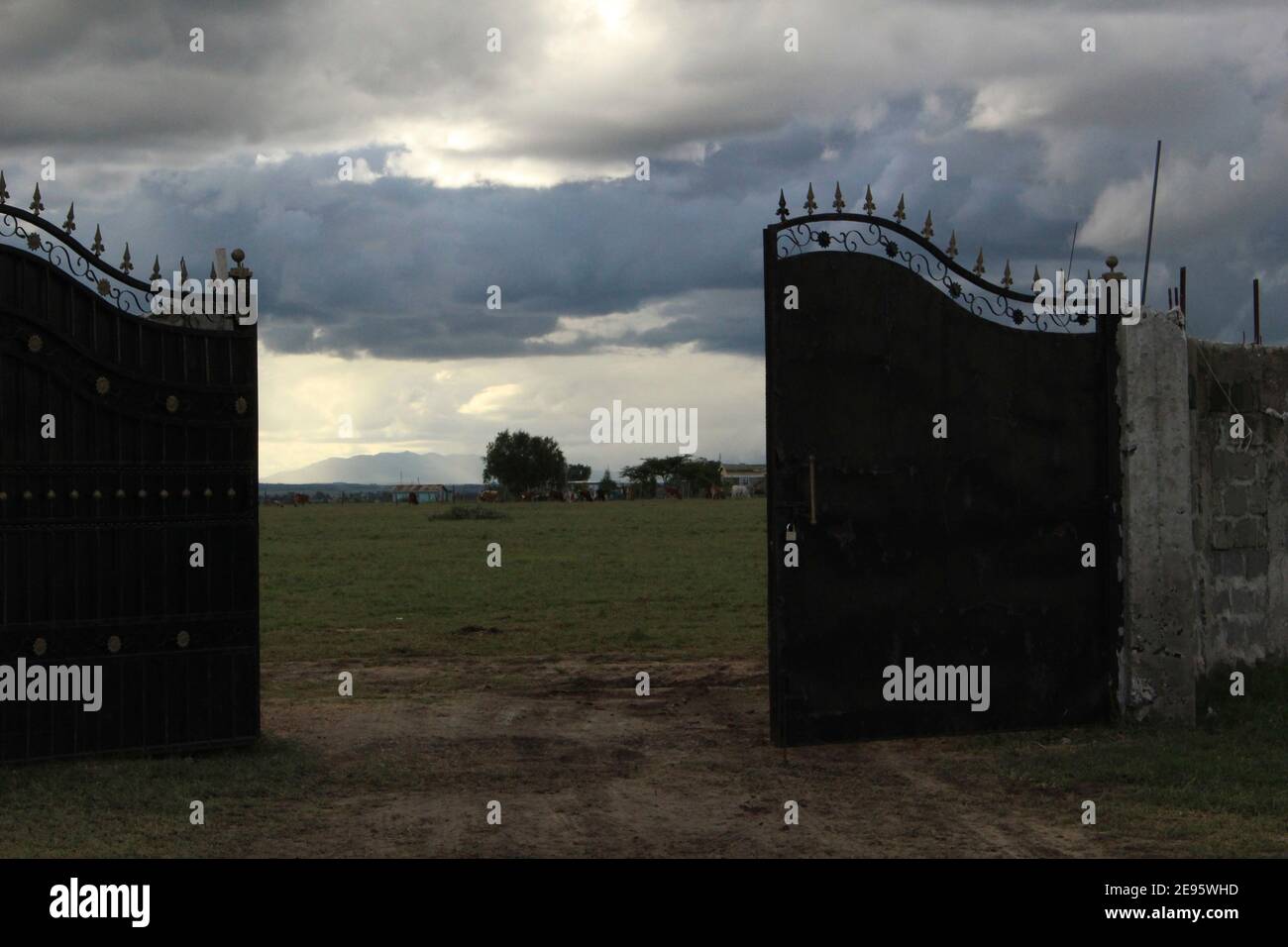 porte en fer forgé dans les prairies Banque D'Images