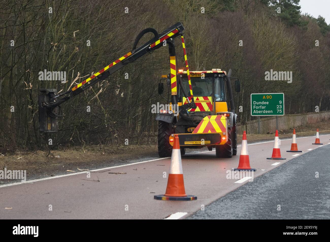 Tailler les arbres à l'aide d'un couteau à haies à fléaux fixé au tracteur le long du côté de la route principale A90, Écosse, Royaume-Uni Banque D'Images