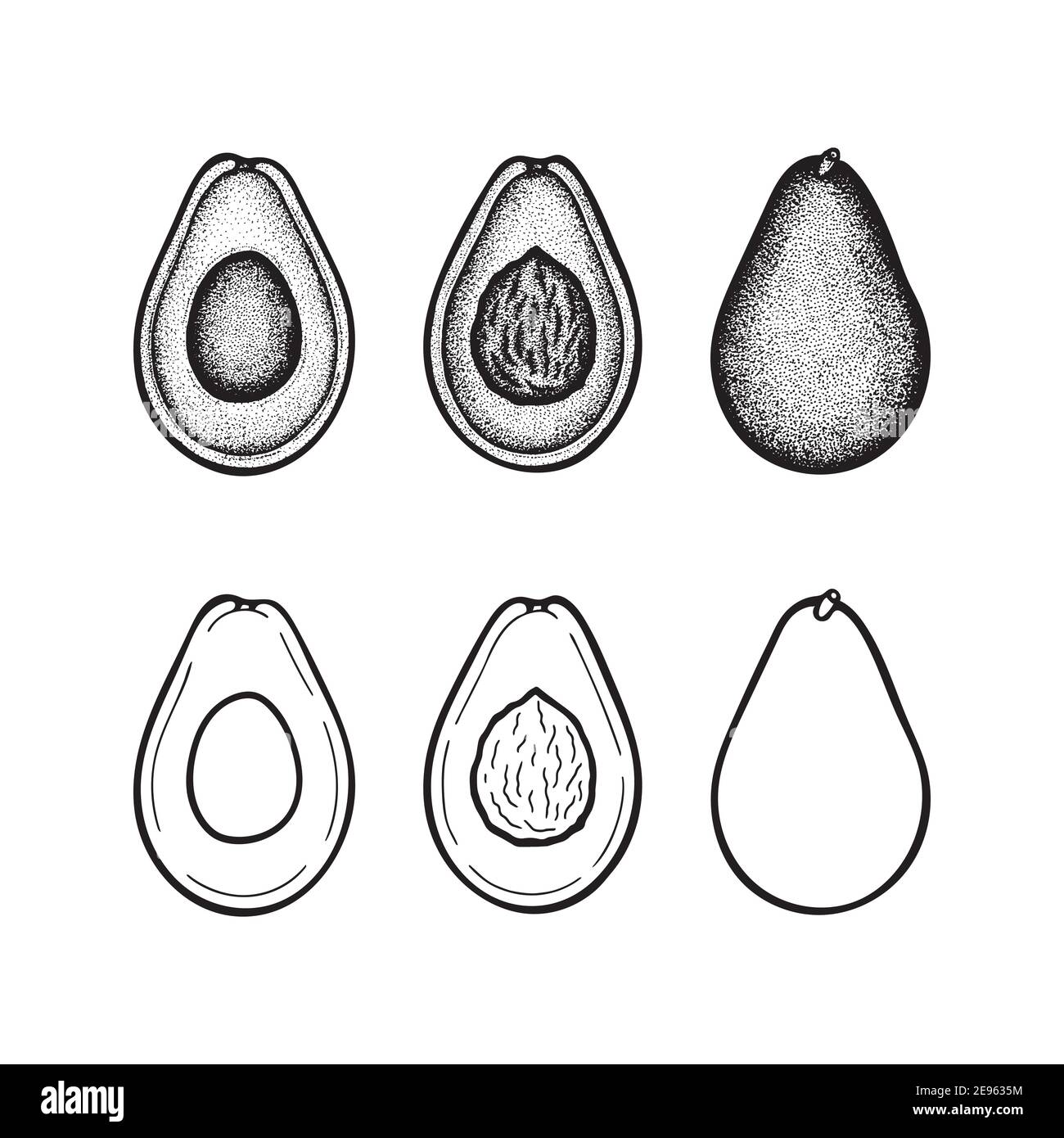 Avocat. Tout, moitié et tranche avocats avec graine gravure style vintage dessin isolé sur fond blanc. Vocados style rétro avec dessin en pointillés Illustration de Vecteur