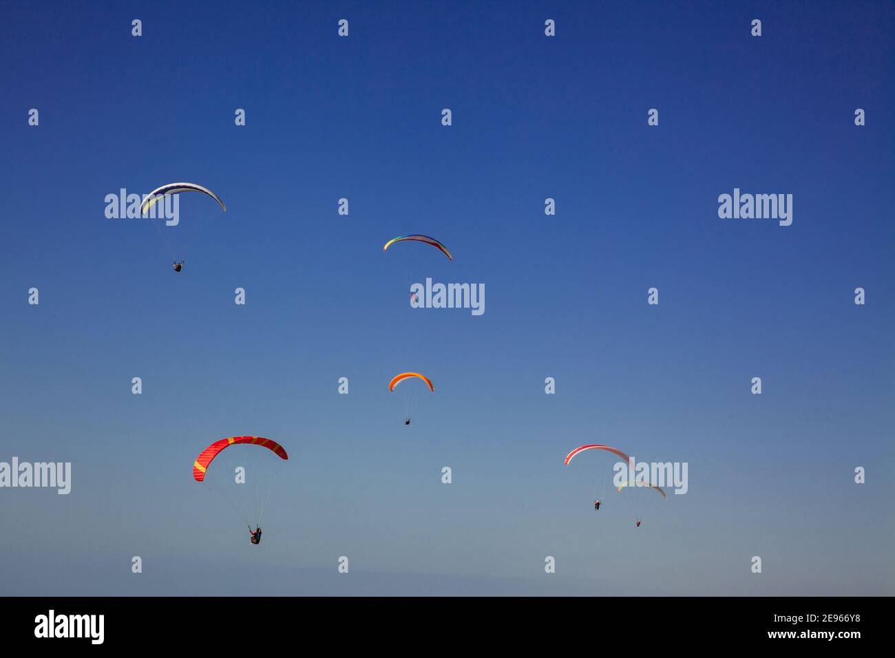 Parachute parapente bleu et rouge sur ciel bleu clair avec espace copie. Parapente contre ciel bleu Banque D'Images