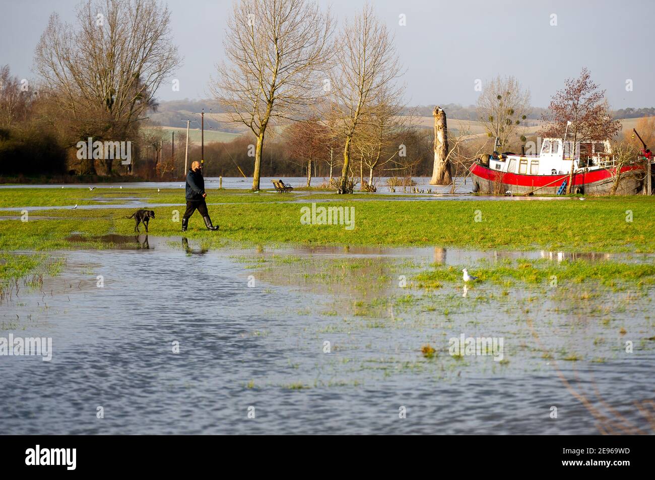 Cookham, Berkshire, Royaume-Uni. 2 février 2021. Un homme marche à travers les champs inondés à côté de la Tamise. Une alerte d'inondation est en place à Cookham car la Tamise a éclaté ses rives. L'Agence de l'environnement était à votre disposition aujourd'hui pour extraire les drains. Crédit : Maureen McLean/Alay Live News Banque D'Images