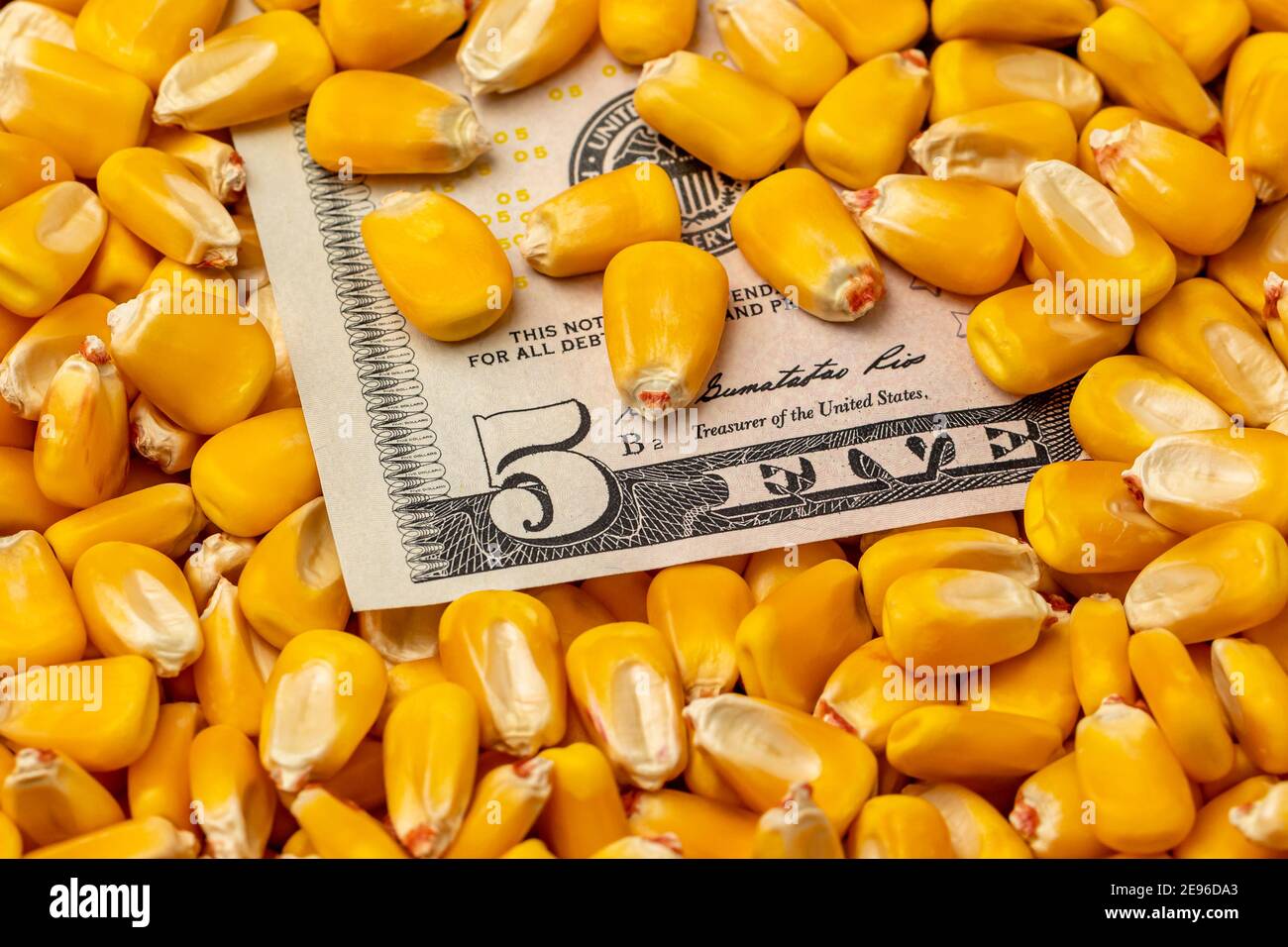 Les grains de maïs couvrent une facture de cinq dollars. Concept de commerce du prix du maïs et du marché des produits de base. Banque D'Images