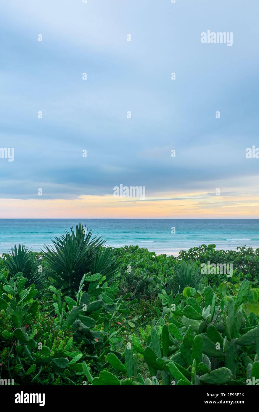 Magnifique paysage de plage avec coucher de soleil coloré au Brésil Banque D'Images Magnifique paysage de plage avec coucher de soleil coloré au Brésil Banque D'Images