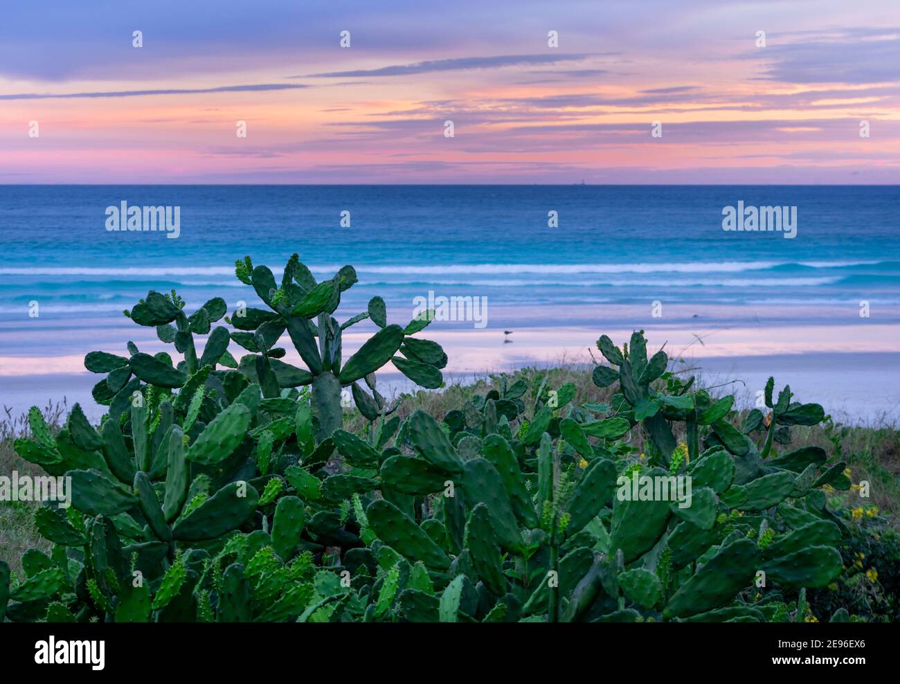 Magnifique paysage de plage avec coucher de soleil coloré au Brésil Banque D'Images Magnifique paysage de plage avec coucher de soleil coloré au Brésil Banque D'Images