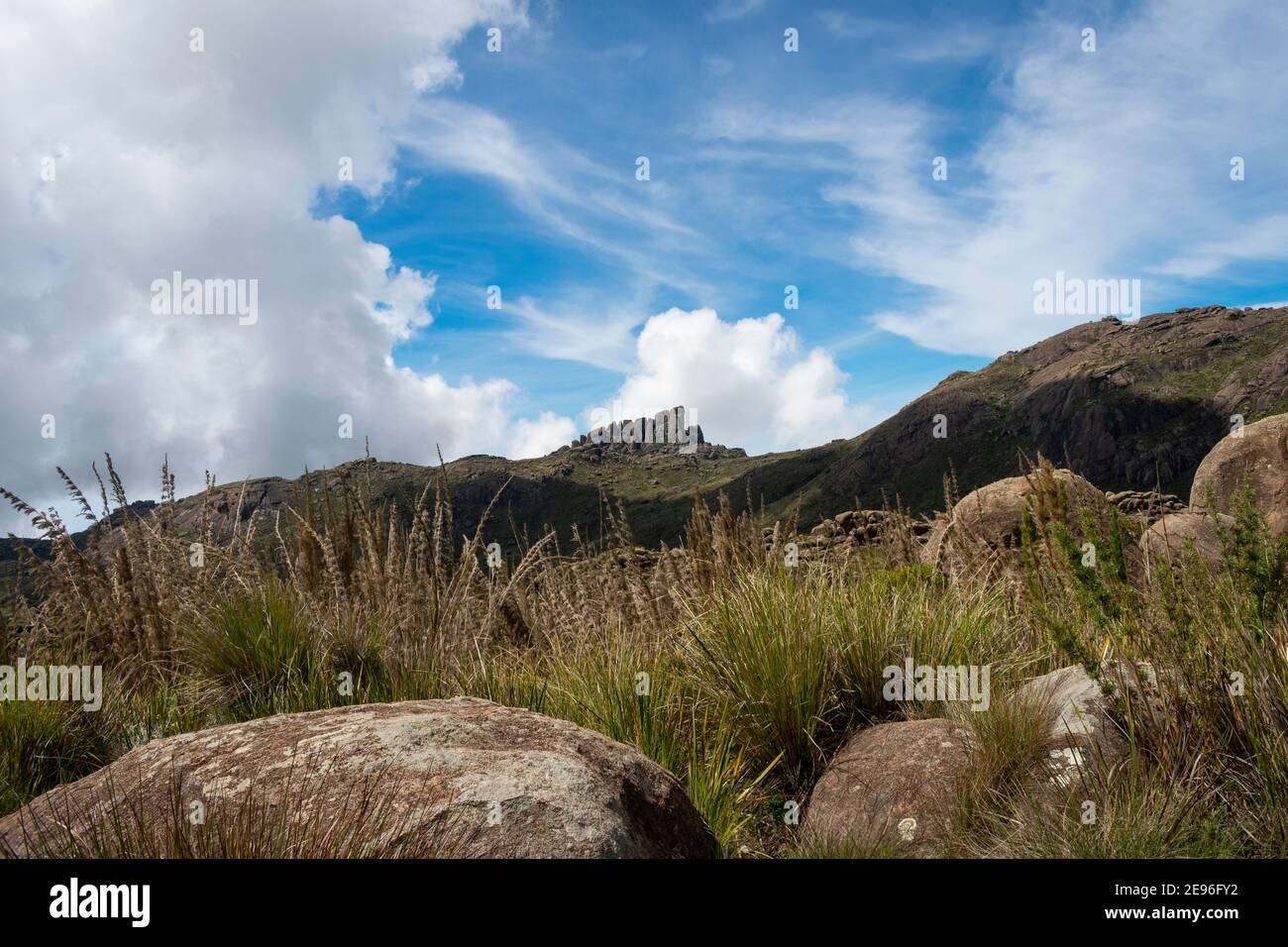 Environnement de montagne brésilien dans le parc national d'Itatiaia Banque D'Images