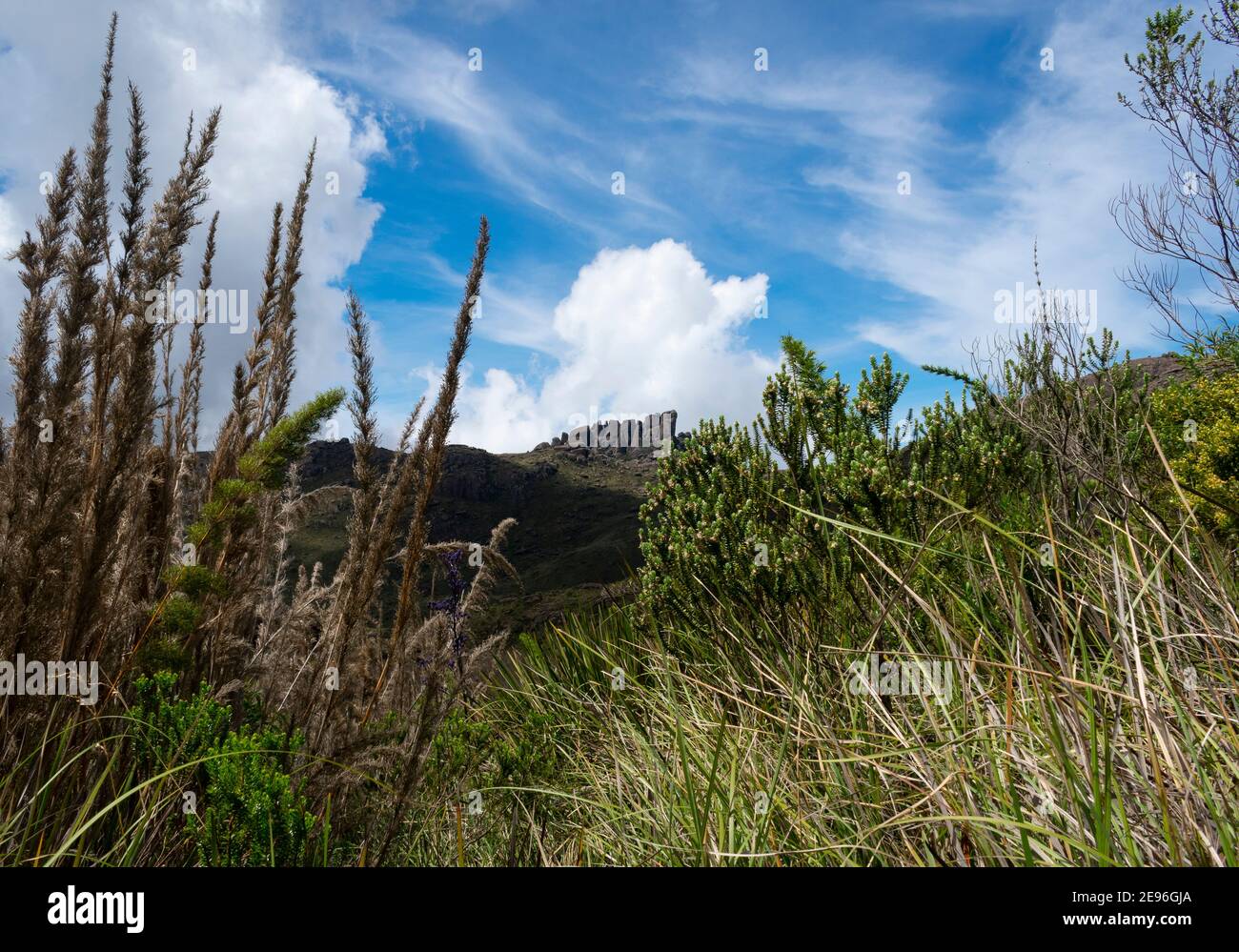 Environnement de montagne brésilien dans le parc national d'Itatiaia Banque D'Images
