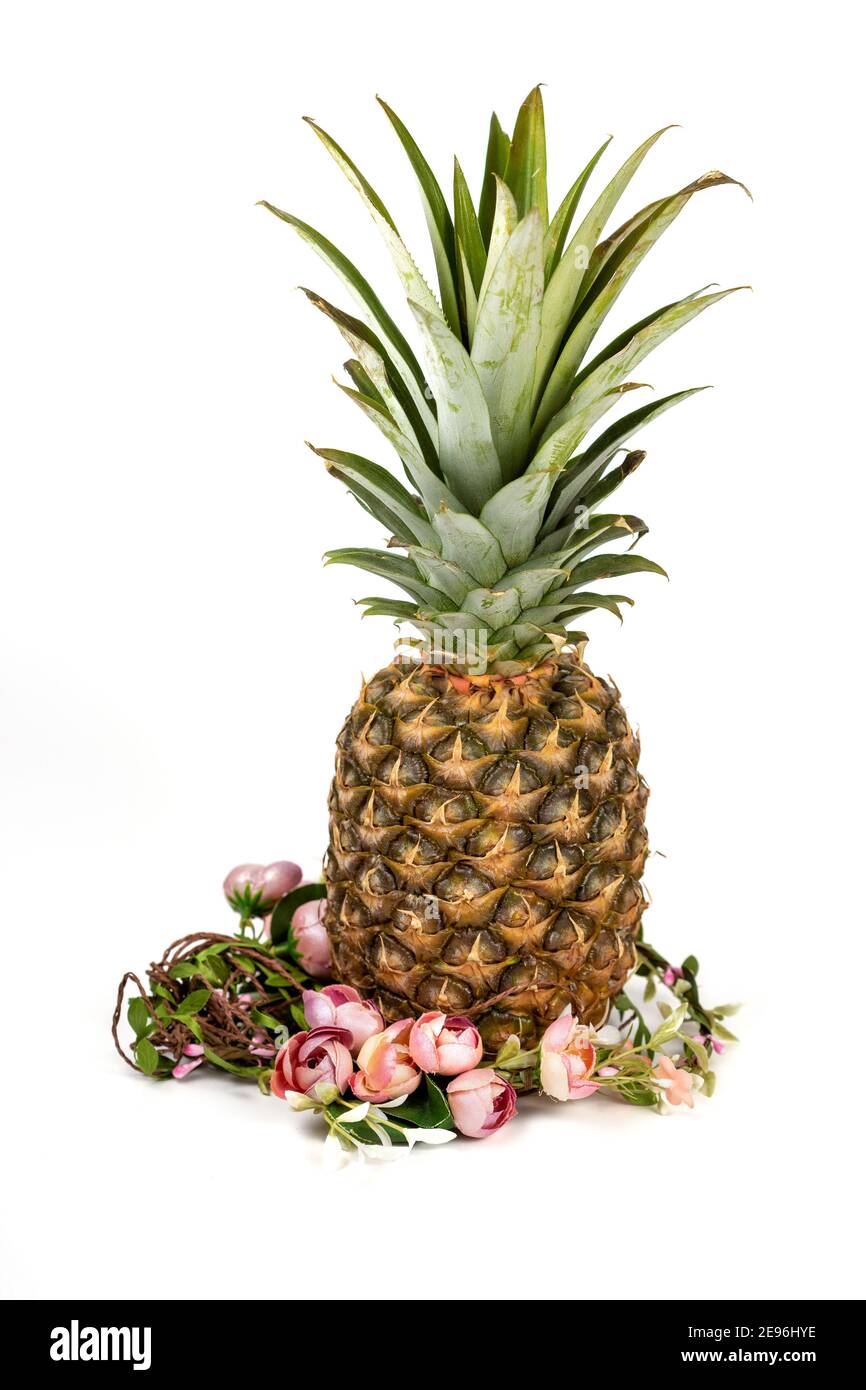 Composition de Pâques de la couronne d'ananas et de fleurs sur fond blanc. Banque D'Images