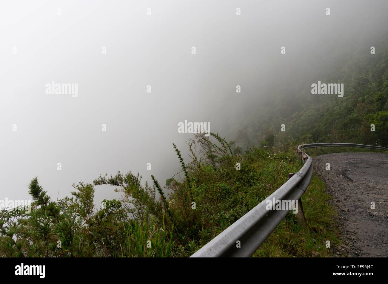 Route de montagne lors d'une journée de brouillard dans la forêt tropicale brésilienne Banque D'Images Route de montagne lors d'une journée de brouillard dans la forêt tropicale brésilienne Banque D'Images