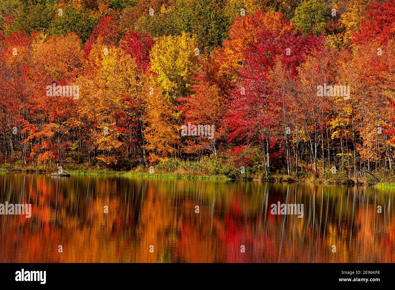 Couleurs d'automne, Delaware Water Gap, PA Banque D'Images