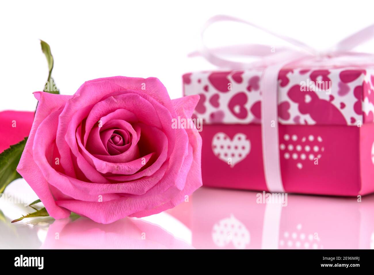 Rose rose et boîte cadeau sur fond blanc avec espace pour le texte. Concept de carte de Saint-Valentin et de fête des femmes. Banque D'Images