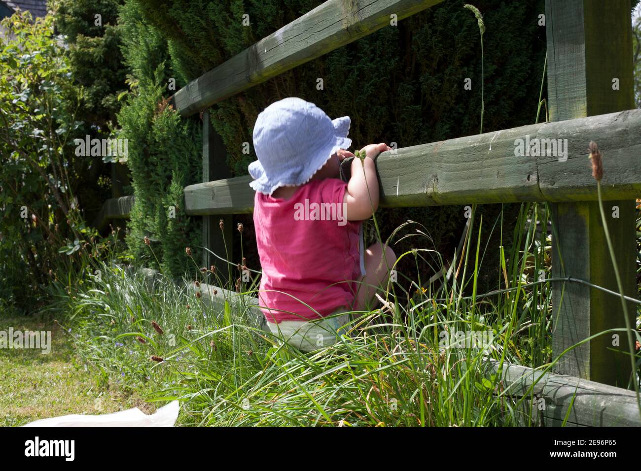 L Herbe Est Plus Verte De L Autre Cote Essayant De S Echapper Bebe Tout Petit Escalade Sur La Cloture Dans Le Jardin Regardant Sur Une Cloture Printemps Ete Enfant Enfant Photo Stock Alamy
