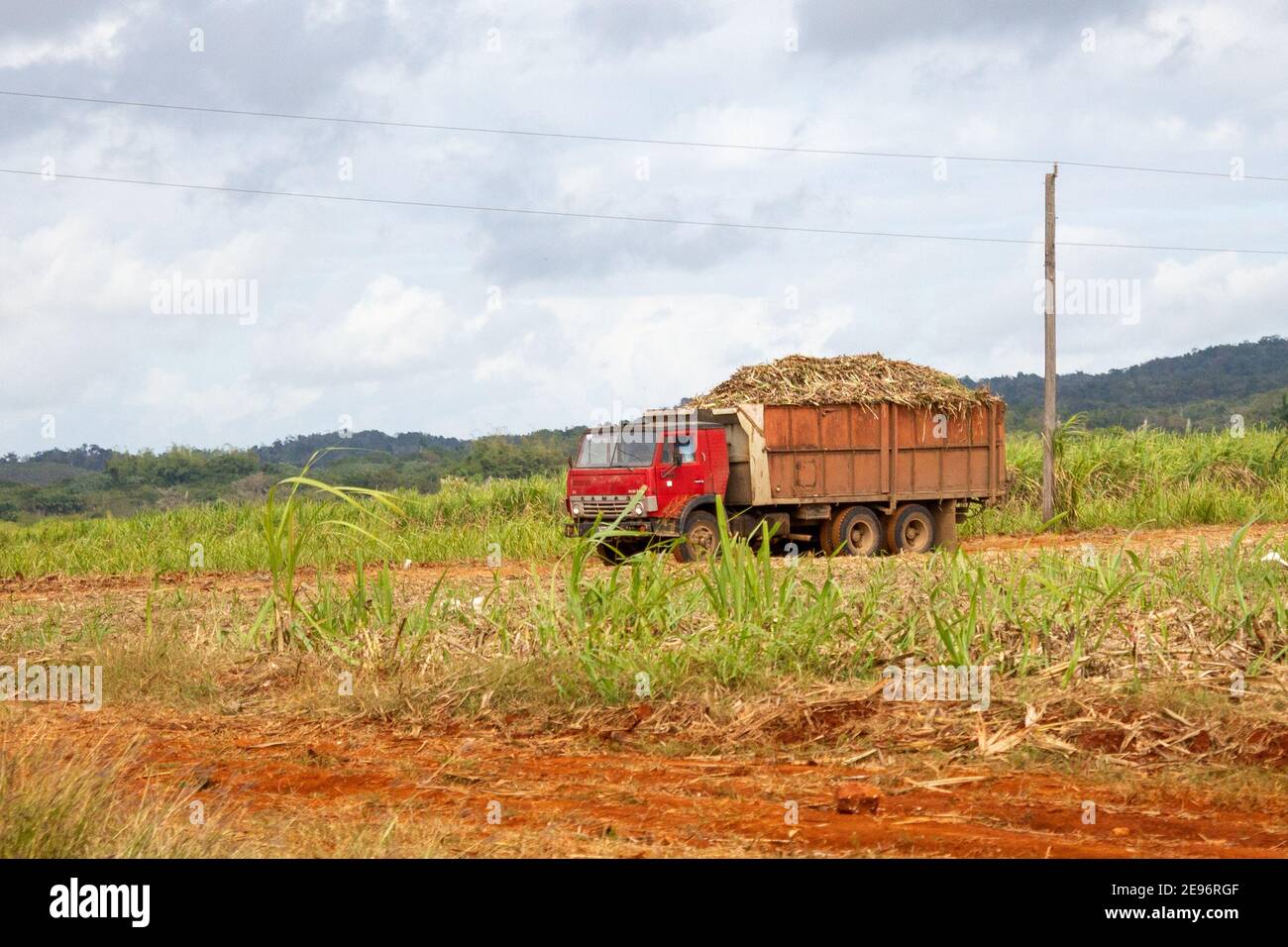 Zafra en Cuba, un camion plein de canne à sucre, 2021 Photo Stock - Alamy