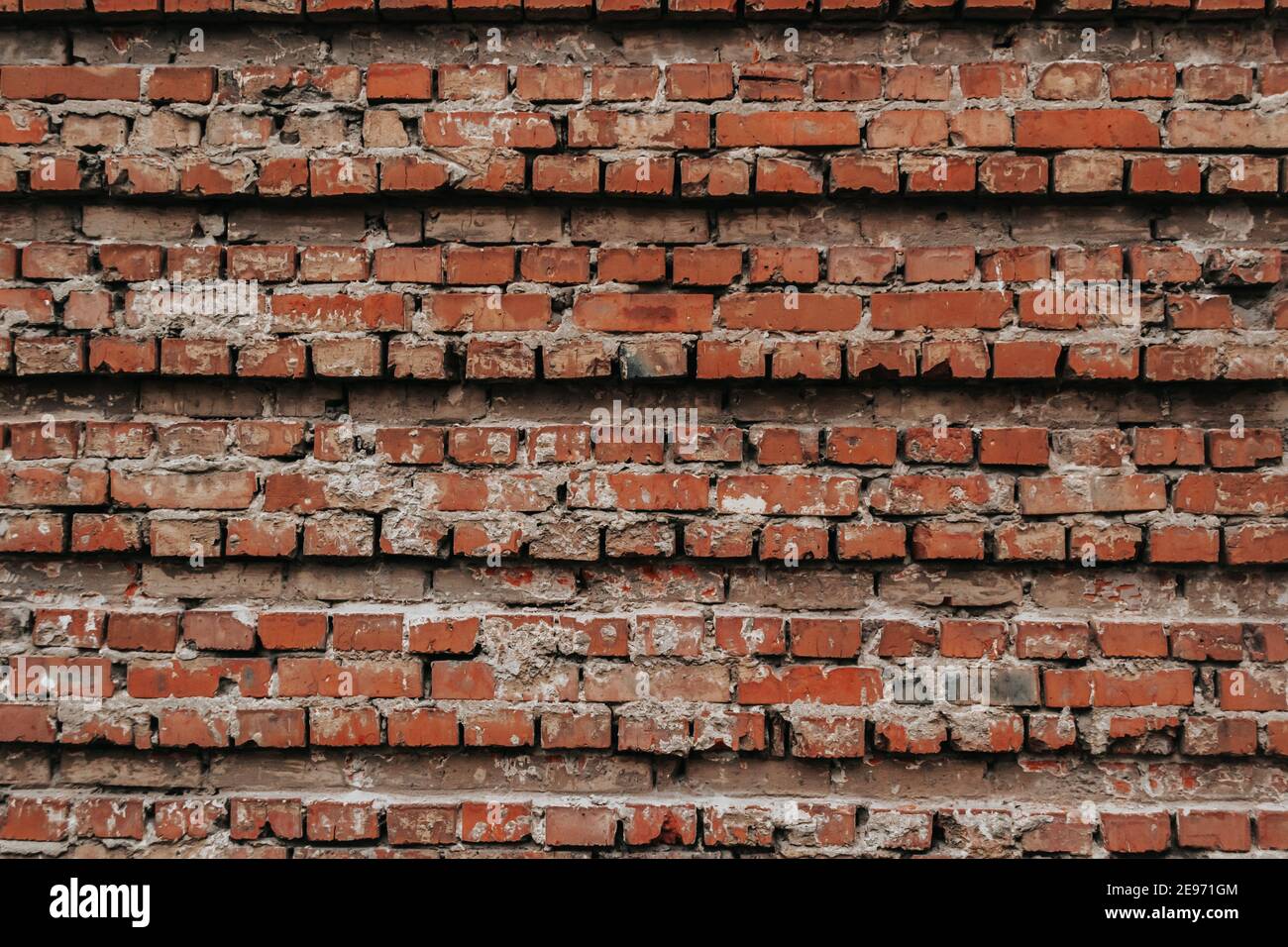 La texture d'un vieux mur de briques avec des défauts naturels. Rayures, fissures, crevasses, éclats, poussière, rugosité, abrasion. Modèle pour conception et backgrou Banque D'Images