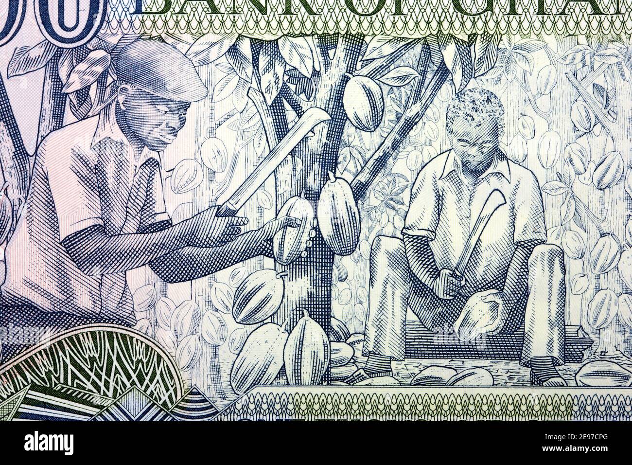 Récolte de cacao de l'argent ghanéen ancien Banque D'Images