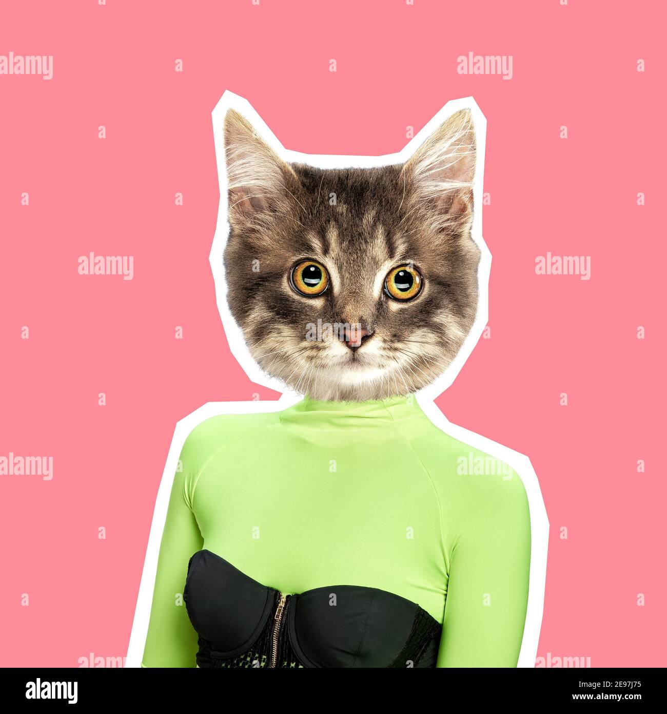Petite Jolie Chatte Dans Un Ensemble Vert Femme Dirigee Par La Tete De Chat Design Moderne Collage D Art Contemporain Inspiration Idee Style Magazine Urbain Tendance Espace Negatif Pour Inserer Votre Texte Ou Petite Jolie Chatte Dans Un Ensemble Vert Femme Dirigee Par La Tete De Chat Design Moderne Collage D Art Contemporain Inspiration Idee Style Magazine Urbain Tendance Espace Negatif Pour Inserer Votre Texte Ou