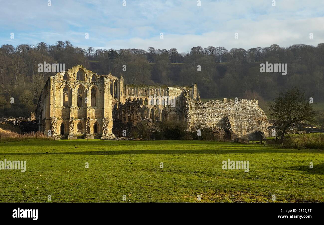Abbaye de Rievaulx dans la brume de décembre. Banque D'Images
