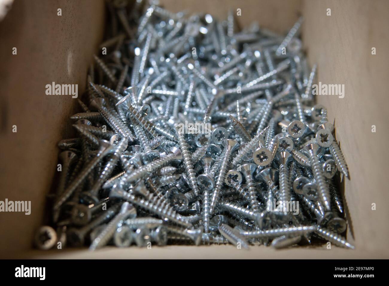 Lot de vis cruciformes en acier inoxydable. Comment ranger les vis. Banque D'Images