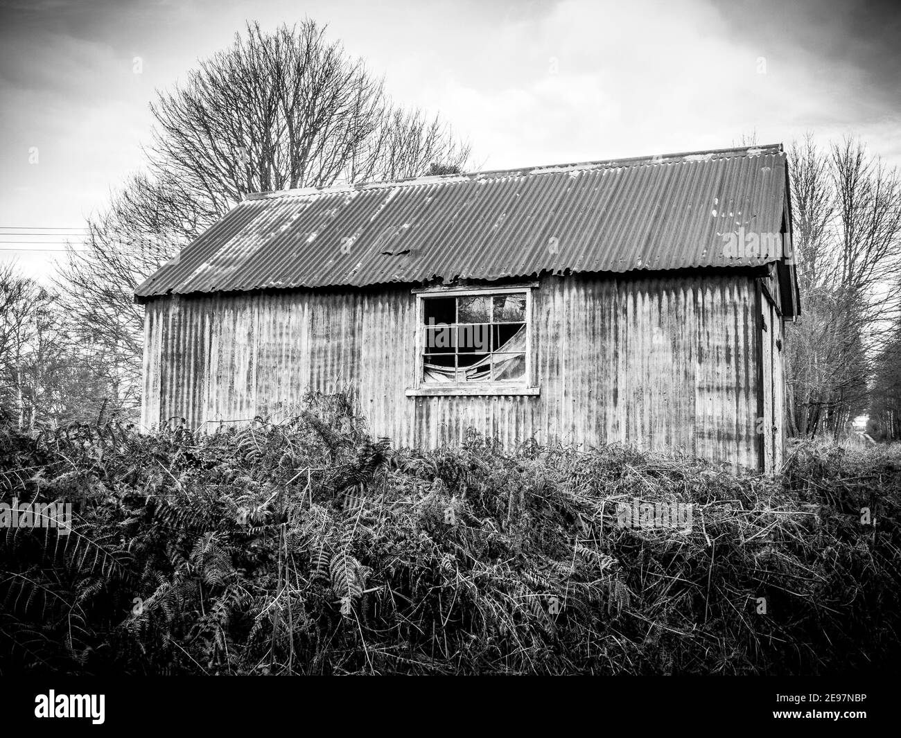 Bâtiment en métal ondulé négligé avec fenêtre cassée et structure rougeante, donnant une sensation de créepy Banque D'Images