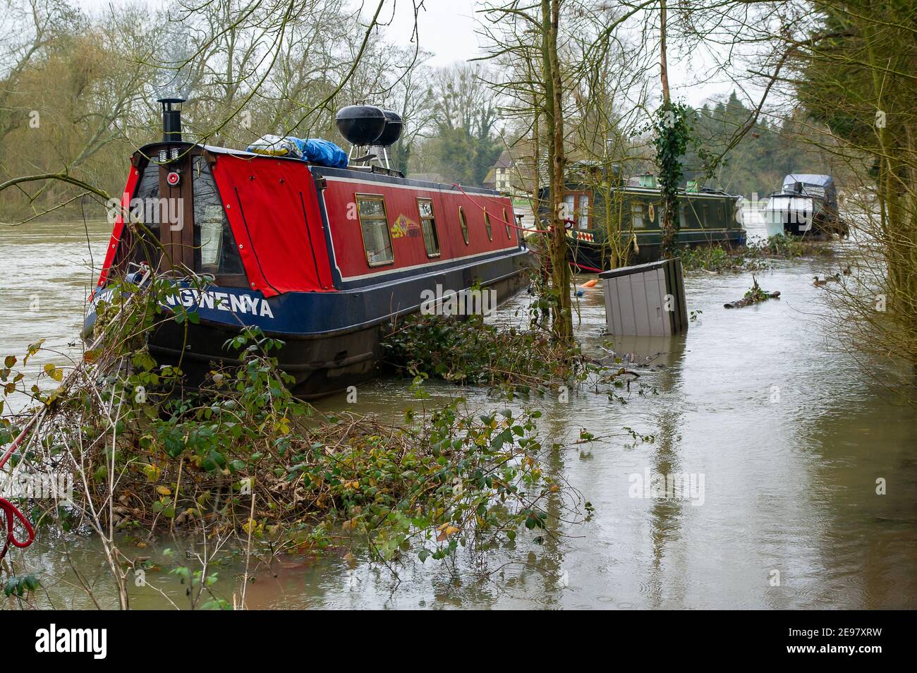 Old Windsor, Berkshire, Royaume-Uni. 3 février 2021. Un avertissement d'inondation est maintenant en place pour la Tamise à Old Windsor. L'eau d'inondation se trouve déjà dans les jardins de maisons le long de la rivière et du sentier de la Tamise. On s'attend à une inondation de la propriété et le niveau de la rivière demeure très élevé sur la Tamise. Ceux qui vivent près de la rivière ont été avertis d'activer la protection contre les inondations. Crédit : Maureen McLean/Alay Live News Banque D'Images