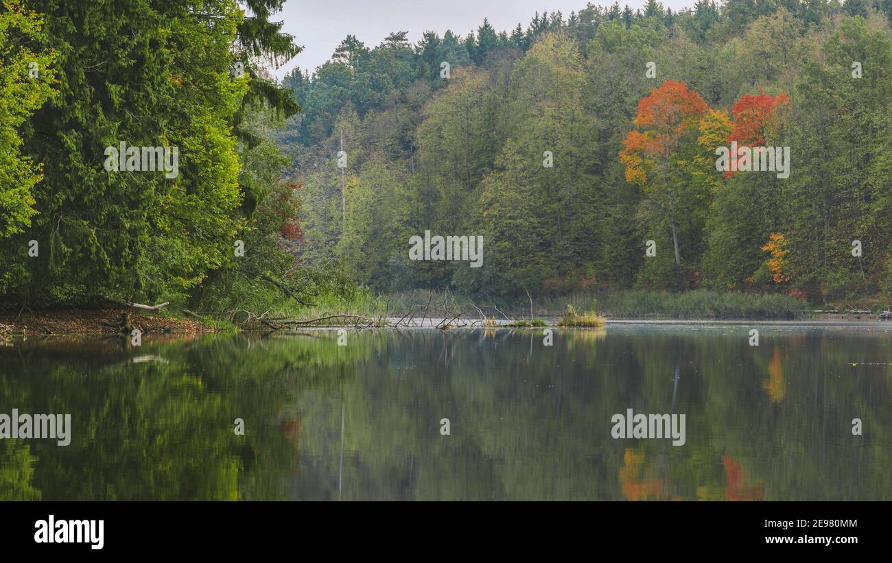 Magnifique journée d'automne colorée avec un magnifique arrière-plan de bureau. Une nature étonnante en Lituanie. Banque D'Images