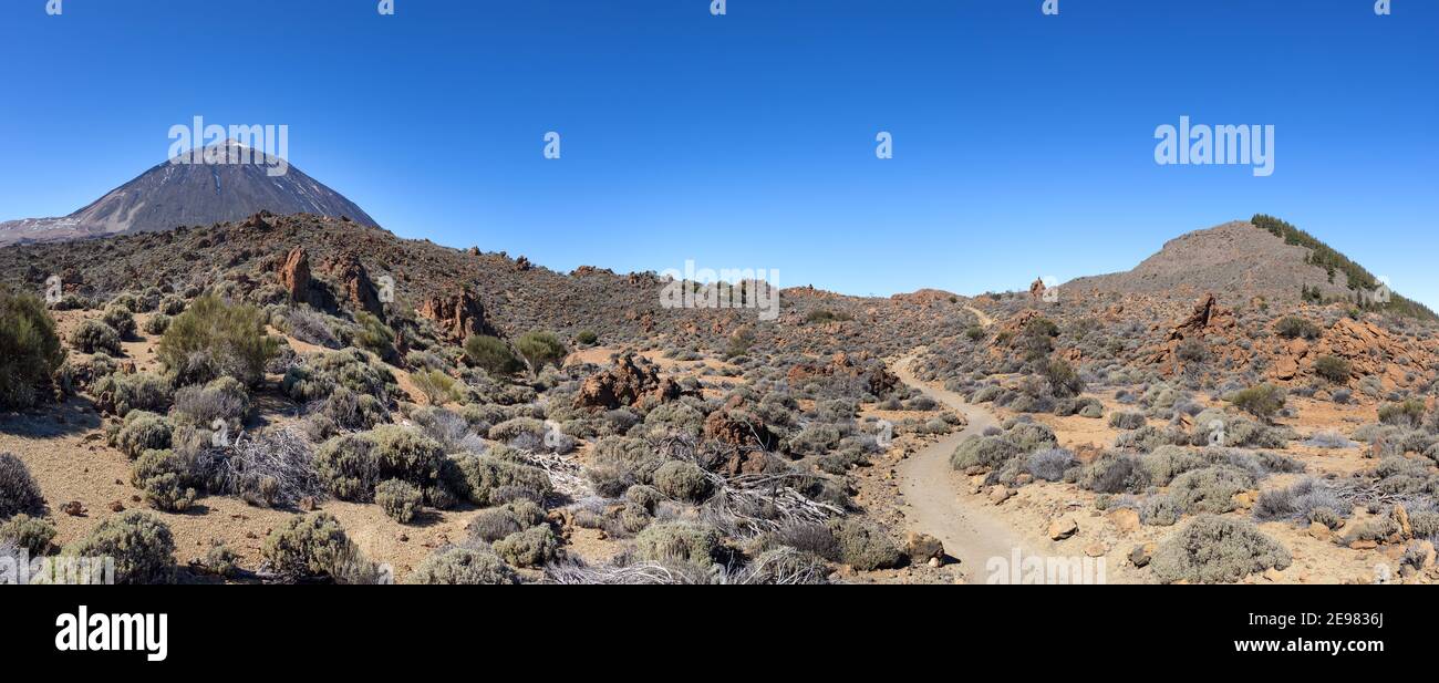 Ténérife, parc national de Teide - Paysage avec sentier de randonnée jusqu'à Fortaleza Banque D'Images