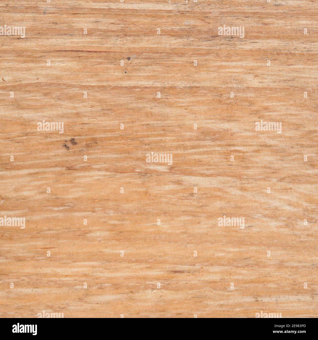 arrière-plan de texture en chêne. surface de placage pour les fabricants intérieurs et extérieurs. Banque D'Images