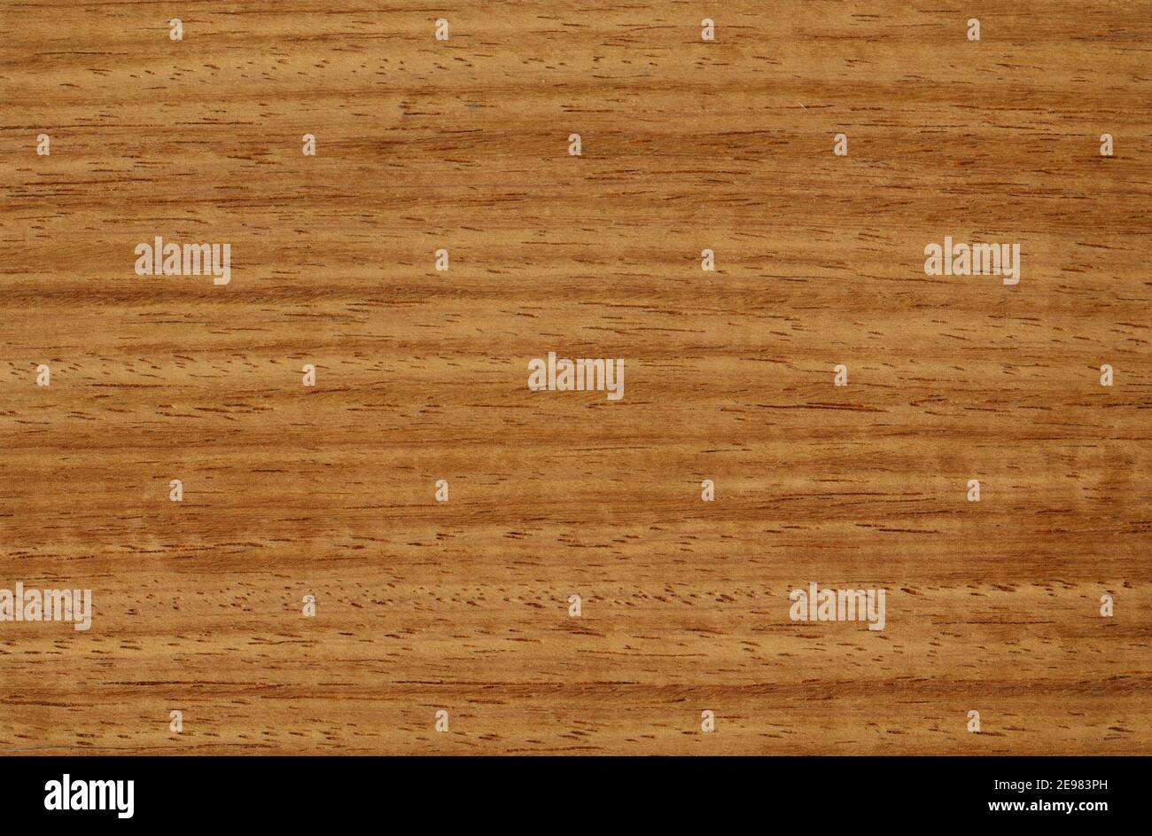 Surface de placage en bois de teck de Birmanie naturel pour les fabricants intérieurs et extérieurs. Banque D'Images