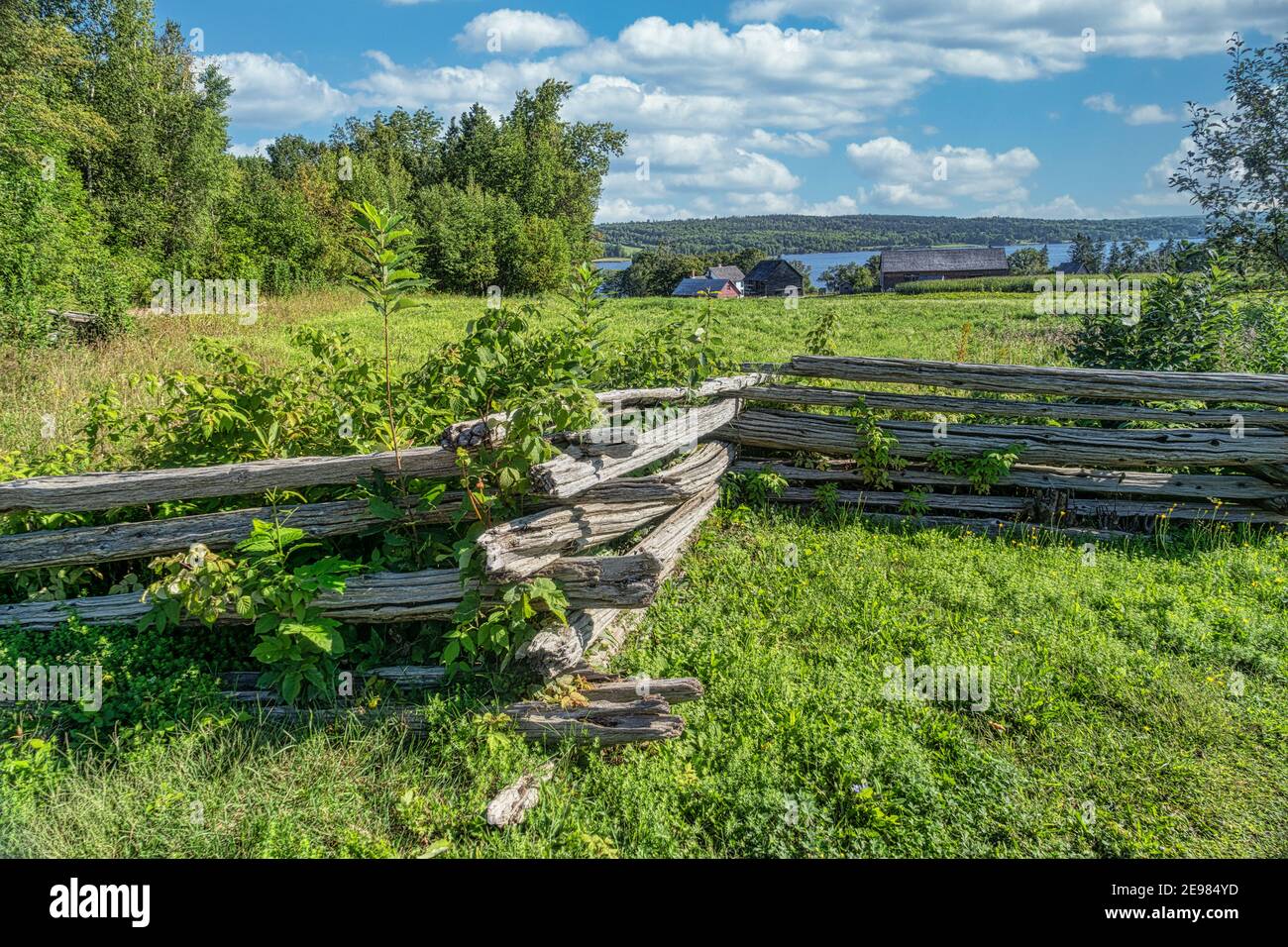 Ancienne clôture en rail fendu dans un paysage pastoral. Banque D'Images