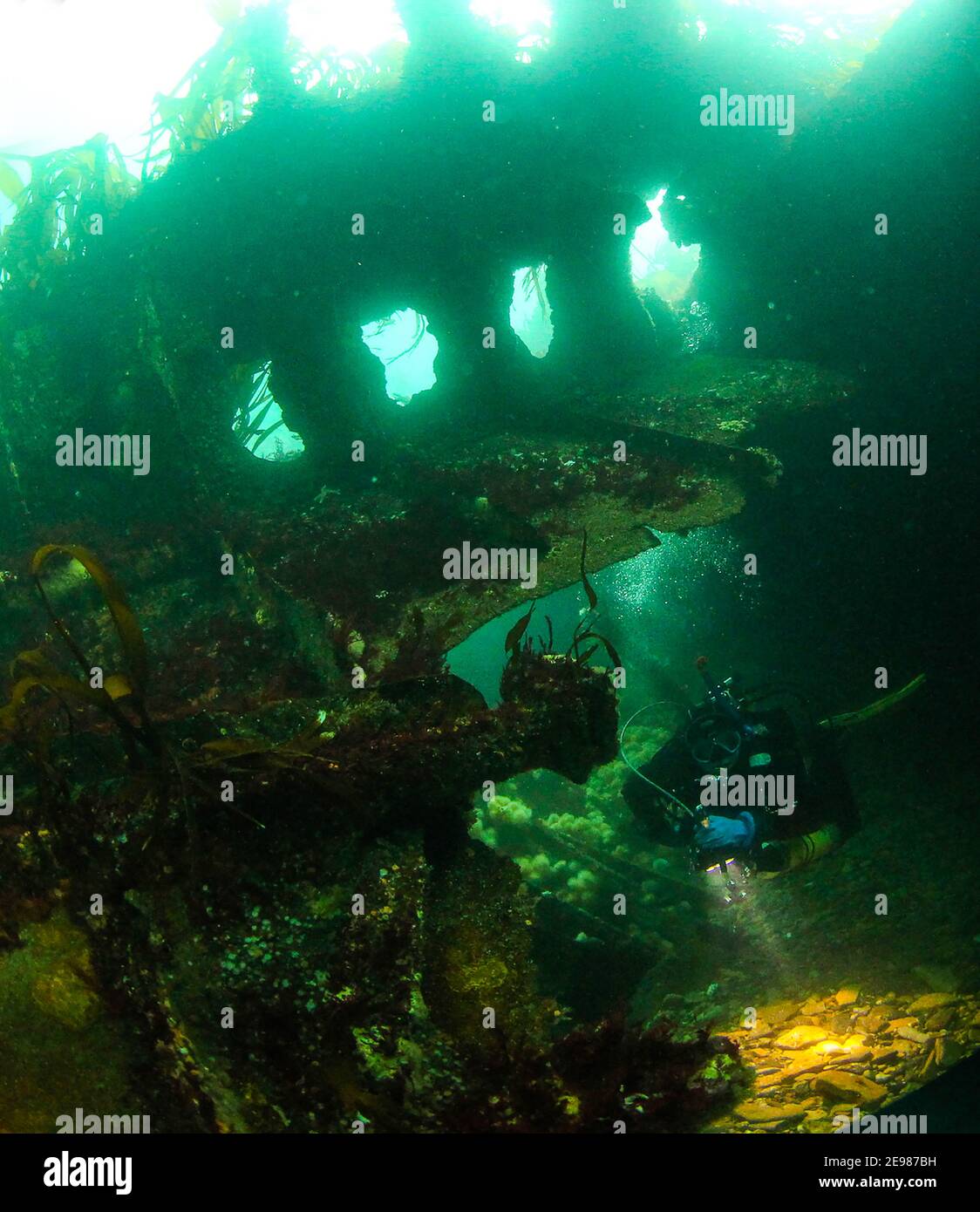 Un plongeur illumine une partie du bateau de bloc Tabarka dans le détroit de Burra, Orkney, Écosse. Banque D'Images