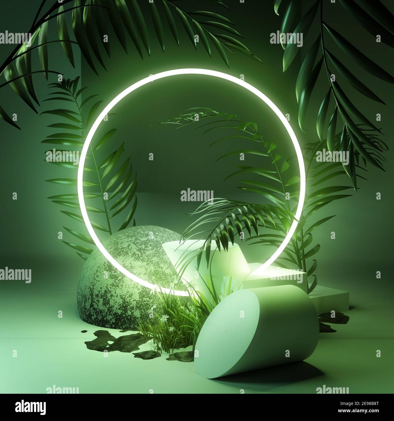 Plancher de studio à fond naturel avec plantes vertes et cercle de boucle lumineuse au néon. Illustration 3D. Banque D'Images