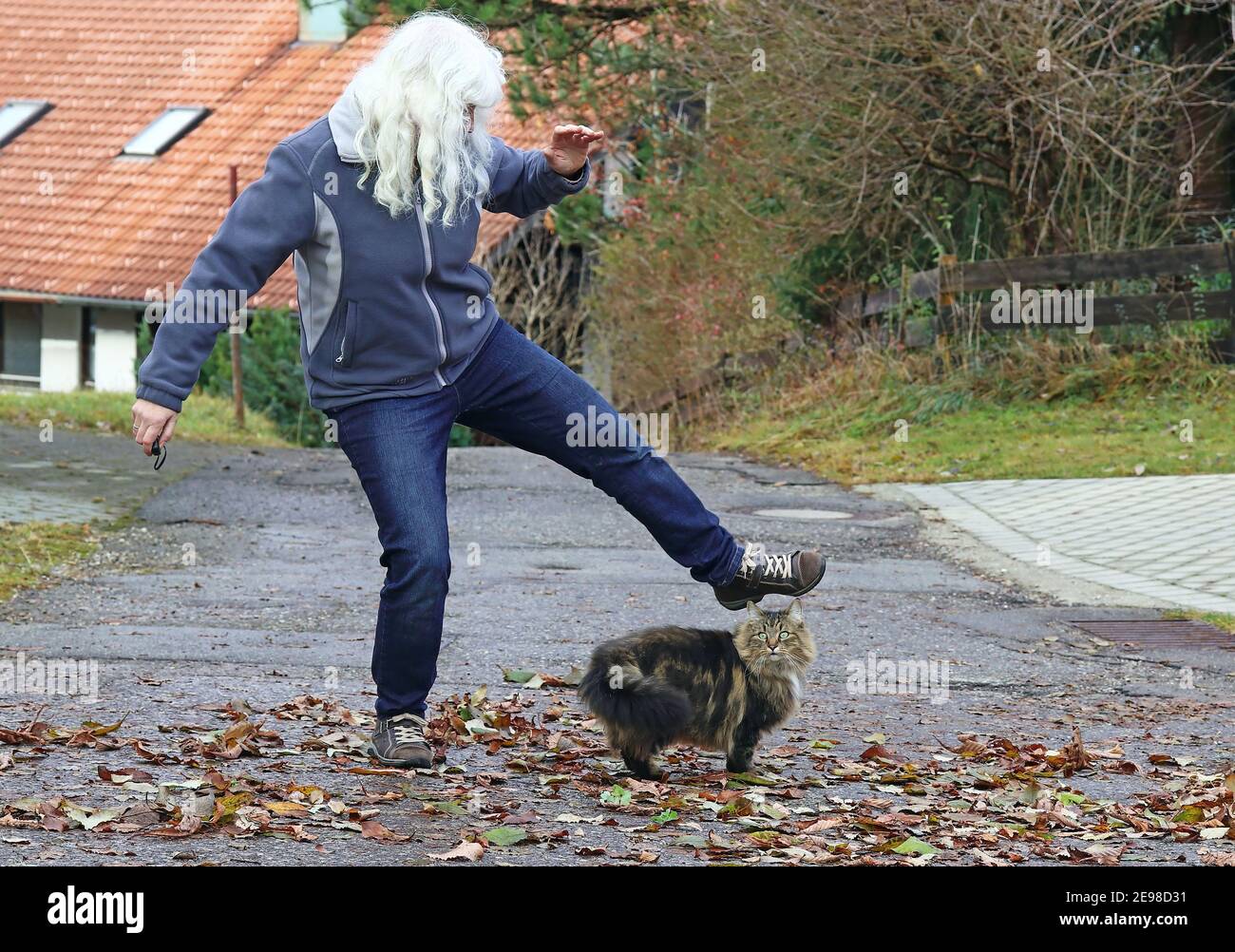 Violence contre les animaux. Une femme veut marcher dans la rue après un chat Banque D'Images