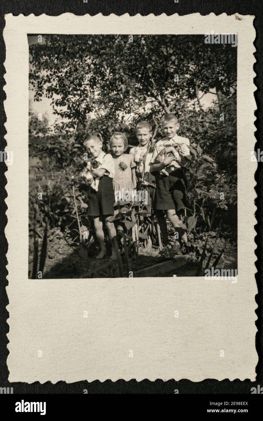 Allemagne - VERS les années 1930 : photo de groupe de quatre petits enfants debout et tenant des chats dans le jardin. Archive vintage photographie de l'époque Art déco Banque D'Images