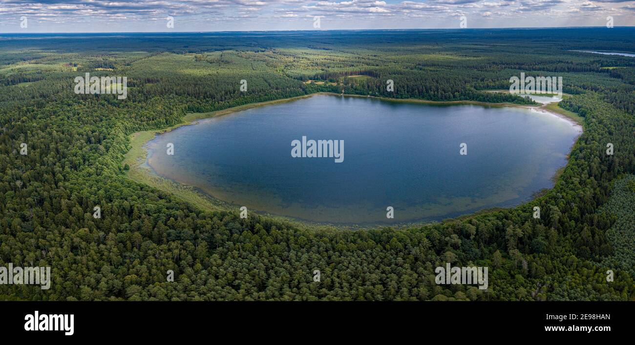 Lac Brozane situé près d'Augustow Pologne Podlaskie voïvodeship Banque D'Images